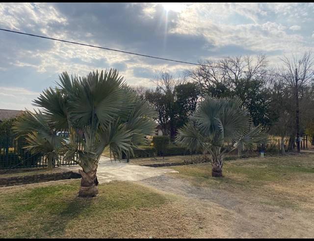 12HA FARM FOR SALE IN WEENEN